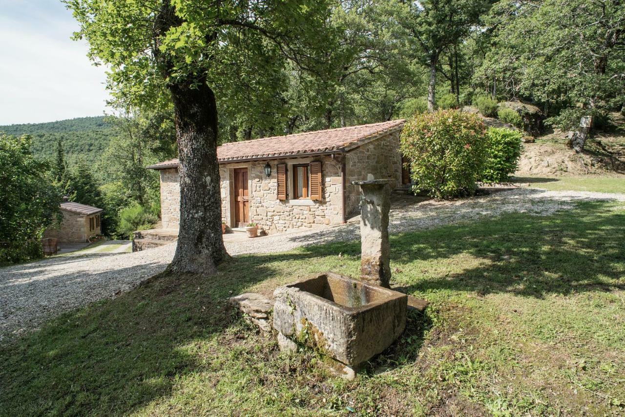 Gasthaus Casa Rancacci Mercatale  Exterior foto